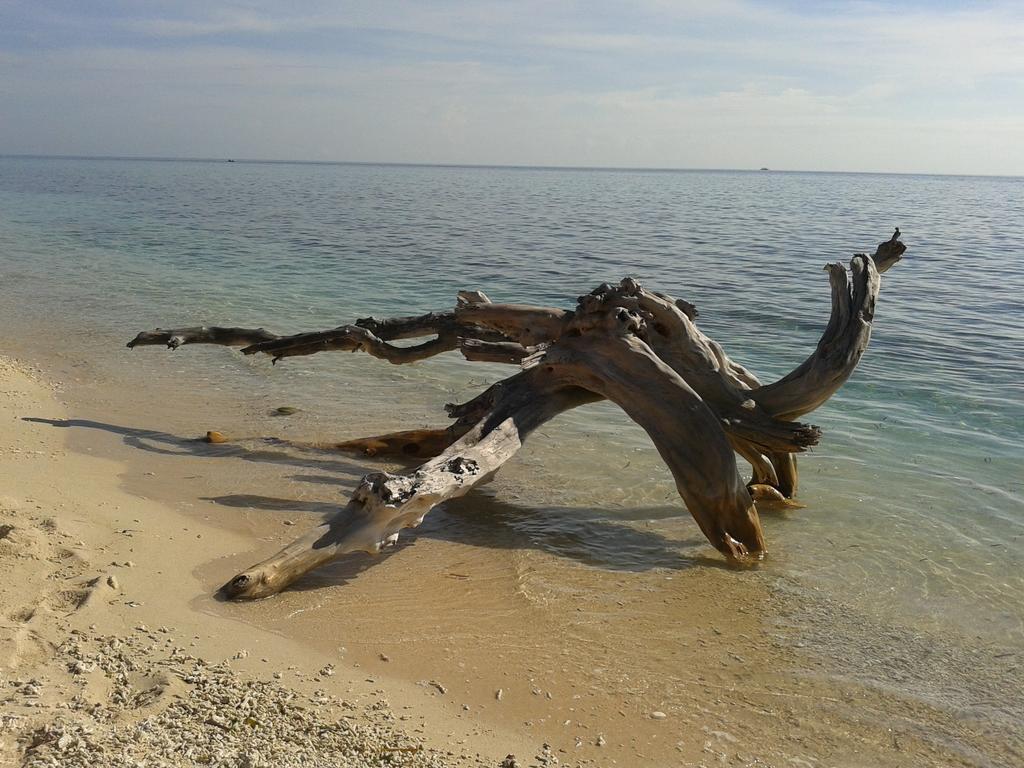Putri Homestay Gili Meno Εξωτερικό φωτογραφία
