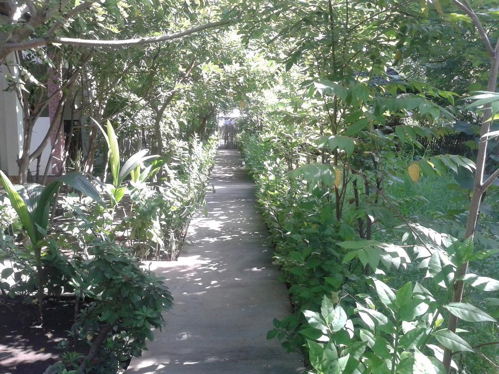 Putri Homestay Gili Meno Εξωτερικό φωτογραφία