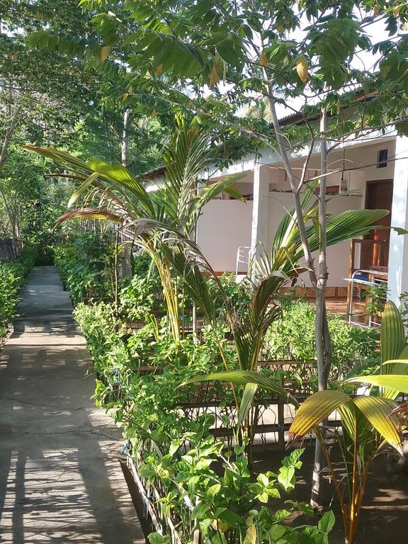 Putri Homestay Gili Meno Εξωτερικό φωτογραφία